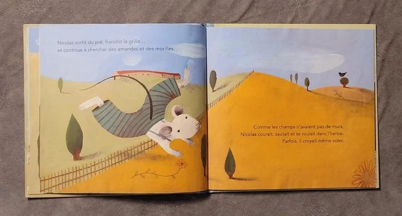 Nicolas Mensonges Roberto Aliaga Sanchez, Simona Mulazzani (Illustraties) – photo 3